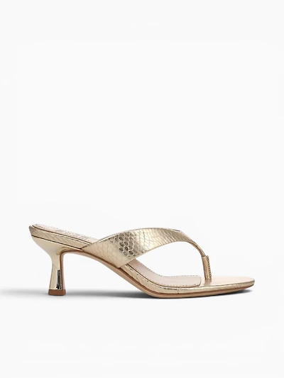 Tressa Champagne Snake