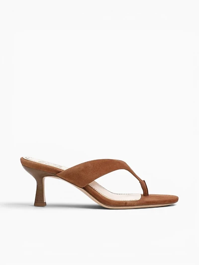 Tressa Walnut Wake Suede