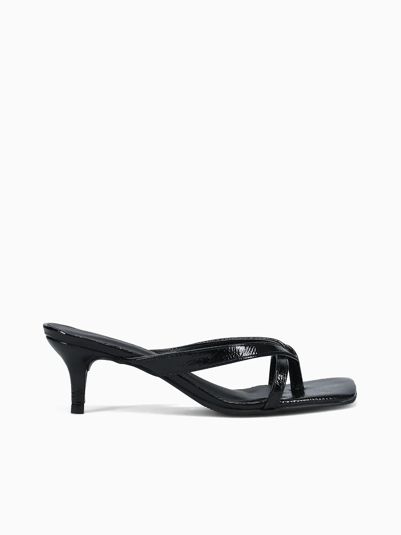 Ellen Black Vz Molhado