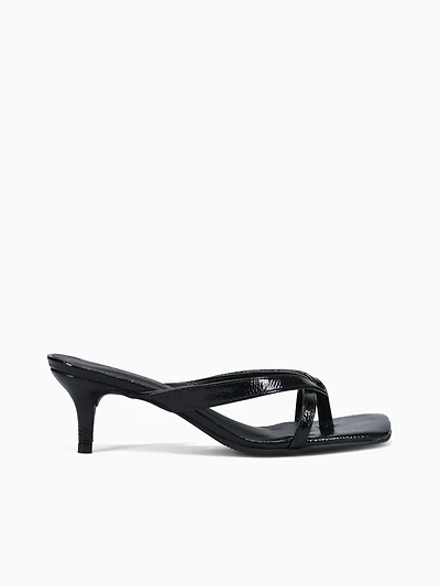 Ellen Black Vz Molhado