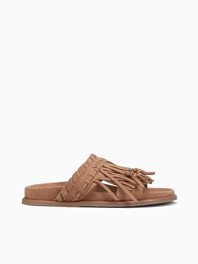 Haydee Camel