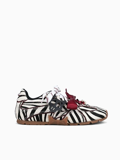 Adored Zebra Pony