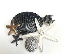 Seven Seas Brooch