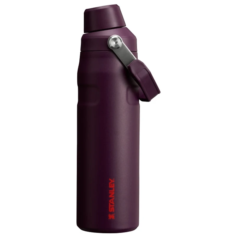 The IceFlow Aerolight Bottle Fast Flow 24oz