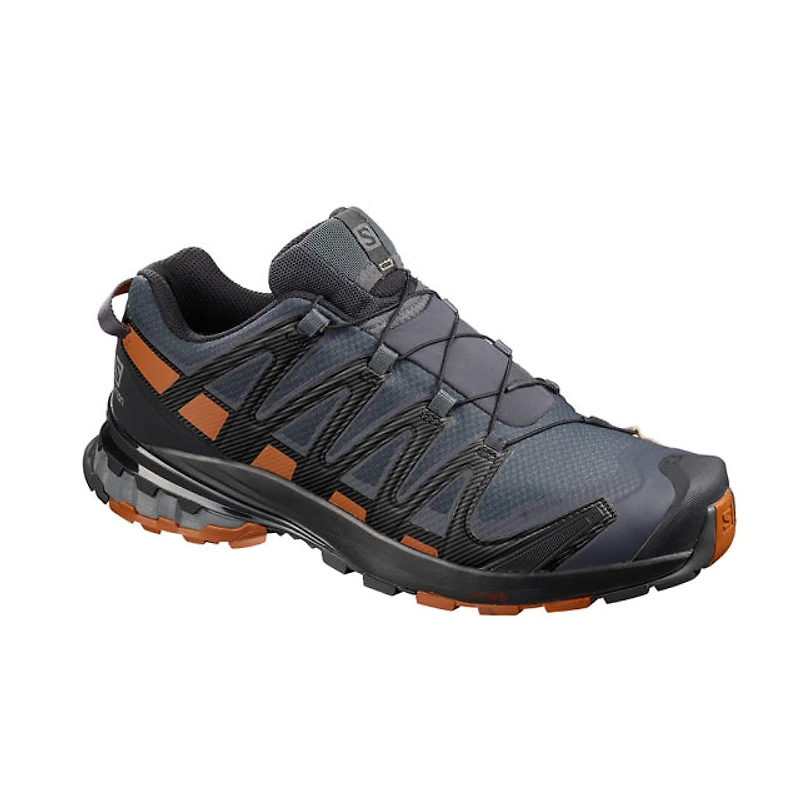 Men's XA Pro 3D v8 GTX