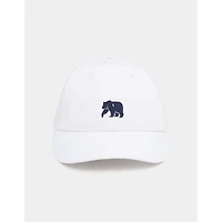 Patriotic Performance Cap