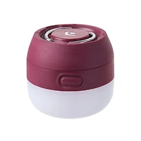 Moji Lantern