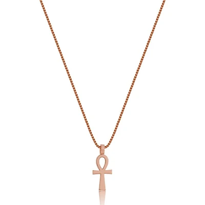 Nano Tori Ankh