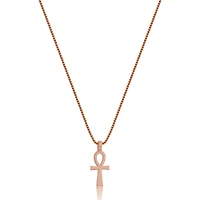 Nano Tori Ankh