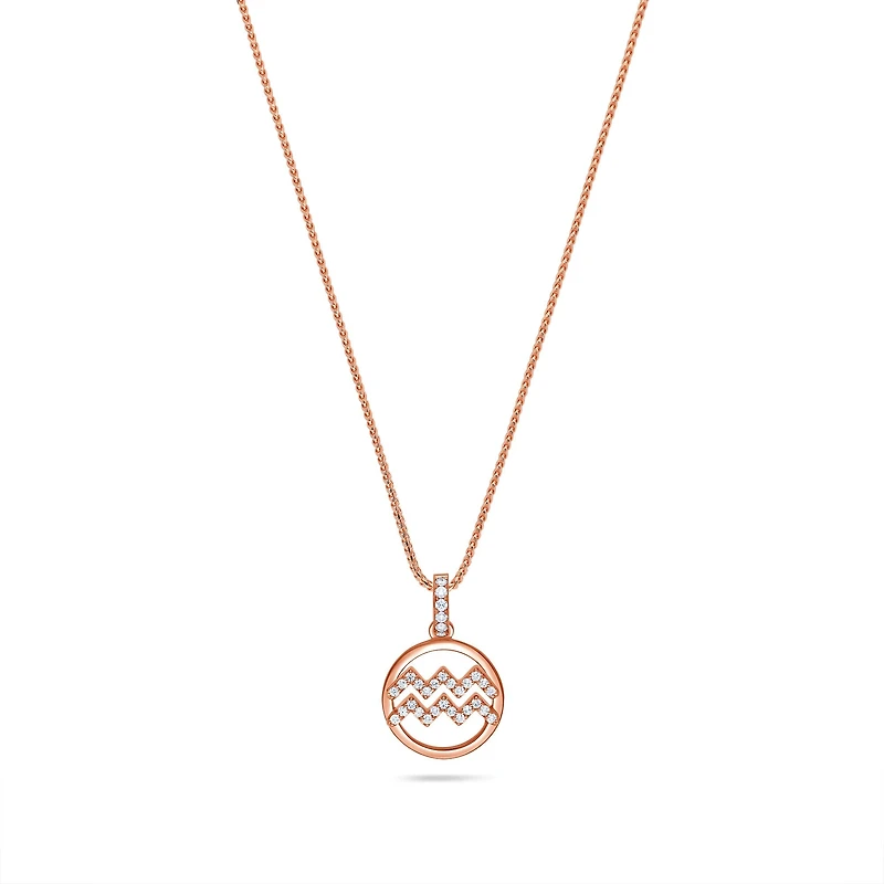 Nano Zodiac Necklace (Aquarius)