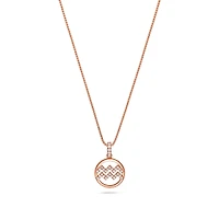 Nano Zodiac Necklace (Aquarius)