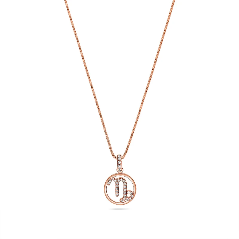 Nano Zodiac Necklace (Capricorn)