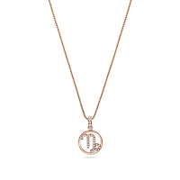 Nano Zodiac Necklace (Capricorn)