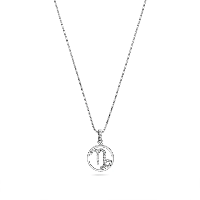 Nano Zodiac Necklace (Capricorn)