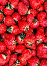 Gel douche - FRAISE