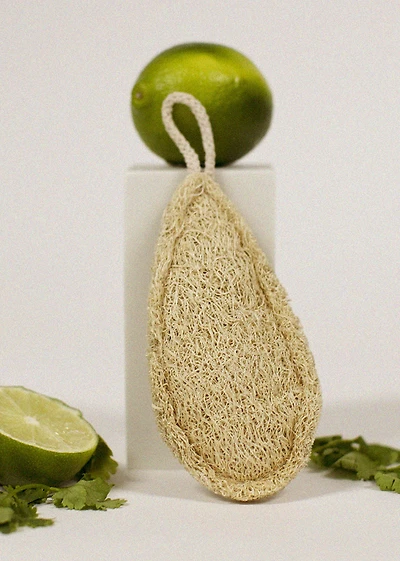 Vegetable loofah sponge