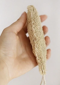 Vegetable loofah sponge