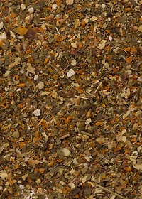 Tisane bouleau et chaga