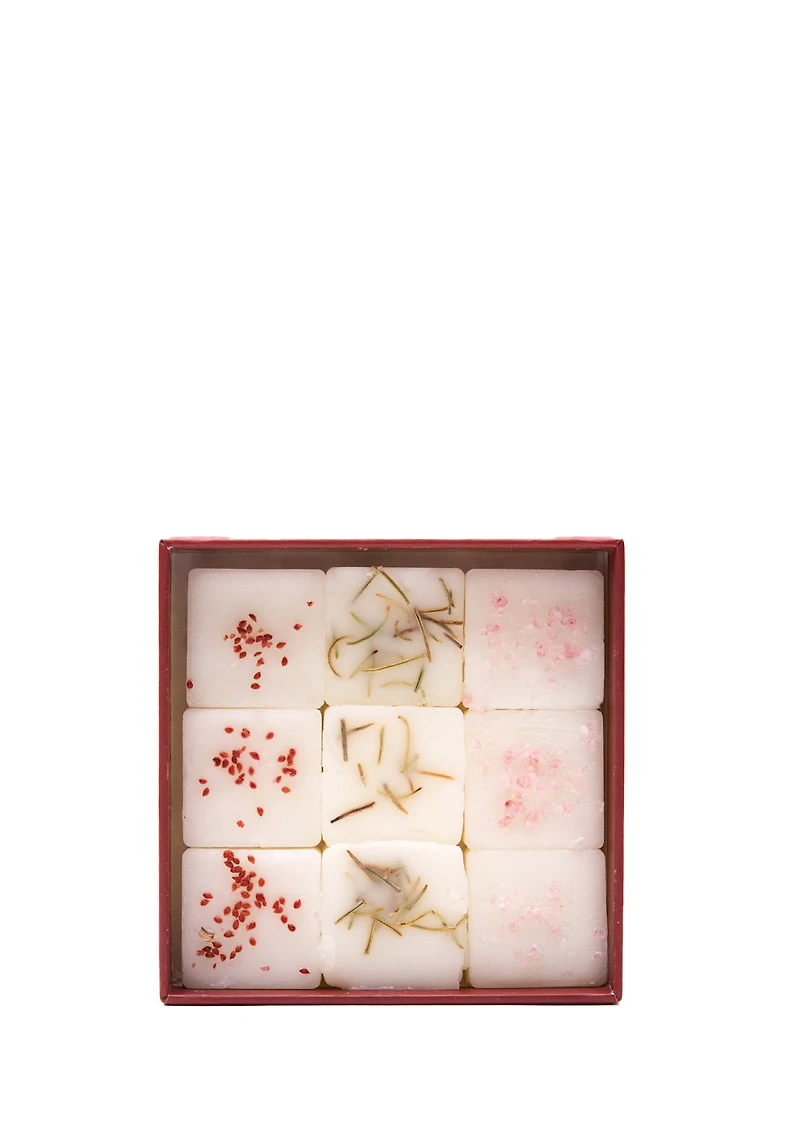 Set of wax cubes - FIR, BERRIES AND ORANGE CINNAMON