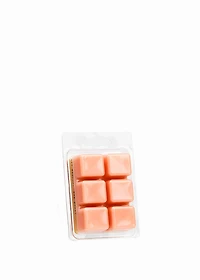 Cubes de cire - PÊCHE ET CRÈME