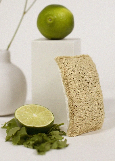Éponge végétale loofa