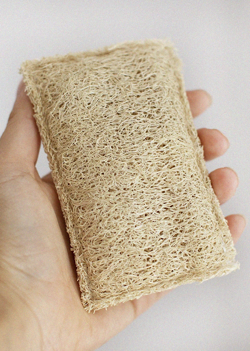 Éponge végétale loofa