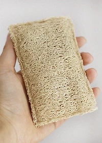 Éponge végétale loofa