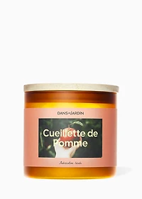 Bougie 3 mèches - CUEILLETTE DE POMME