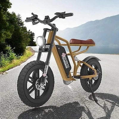 XTREME E-Bike