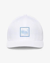 The Line Up Fitted Hat