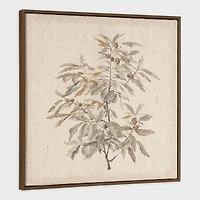 Quiet Botanica II Framed Floral Wall Art