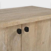 Elina 2 Door Cabinet