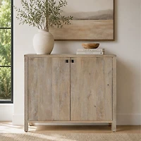 Elina 2 Door Cabinet