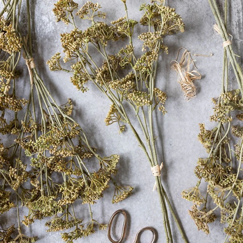 Meadow Sedge Stem - Faux Plant