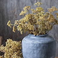 Meadow Sedge Stem - Faux Plant
