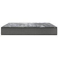 Sealy® Sloan 11.5" Mattress