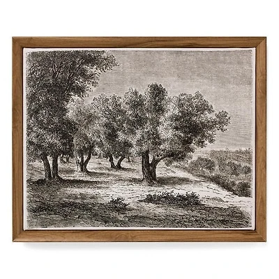 WALL ART FRAMED CANVAS PRINT OLIVE TREES MULTI