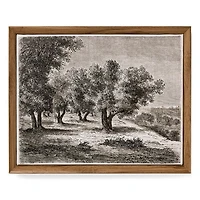 WALL ART FRAMED CANVAS PRINT OLIVE TREES MULTI