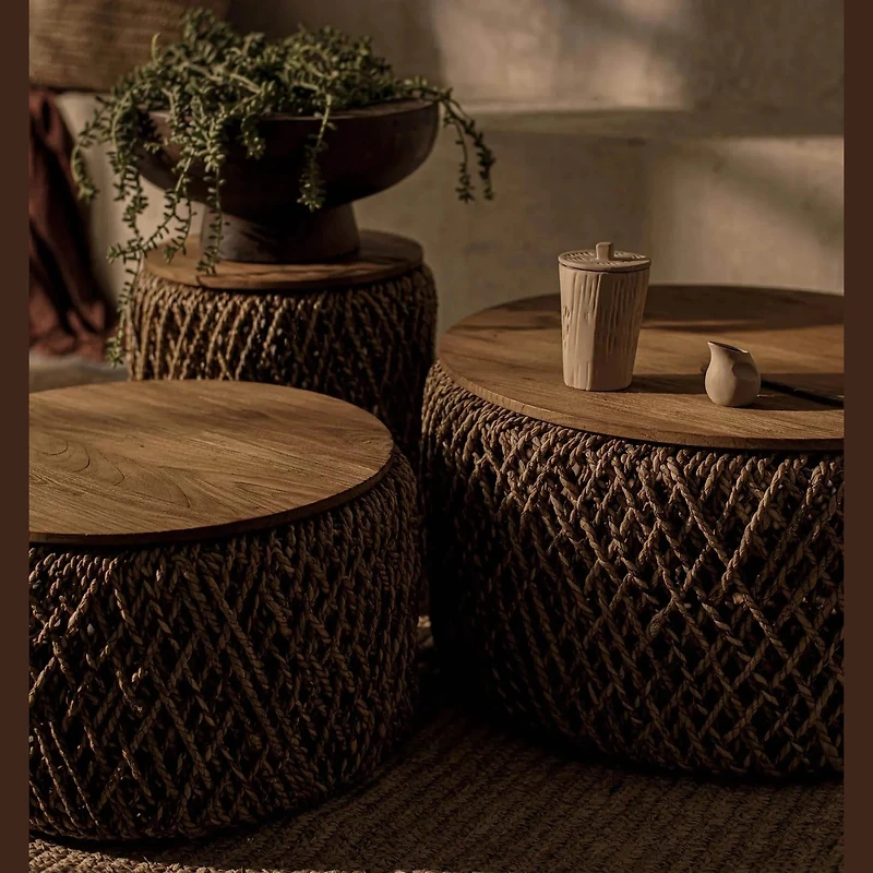 D-Bodhi Knut Coffee Table