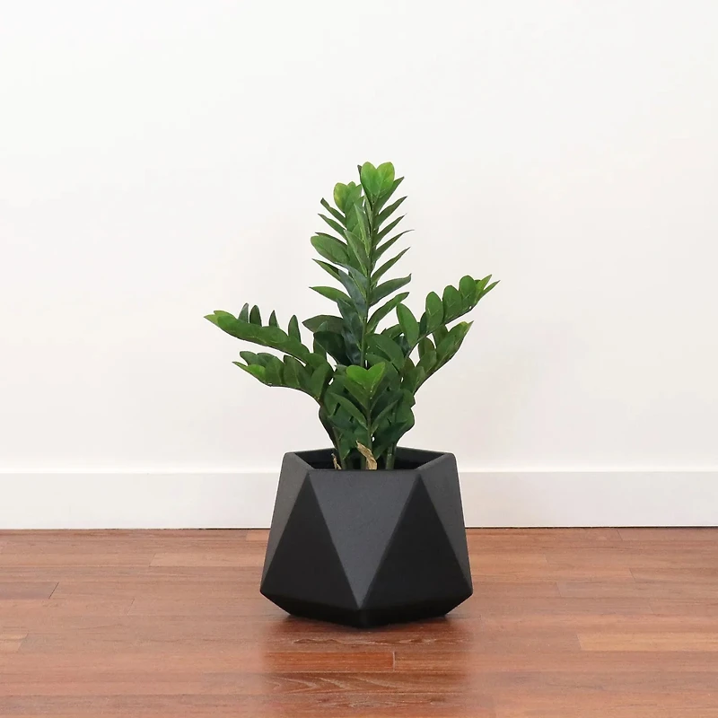 Ion Short Fiberclay Planter, Black