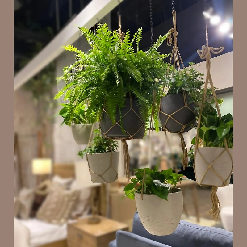 Craft Small Hanging Pot With Netting - Charcoal Grey