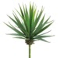 Yucca Pick, 8in