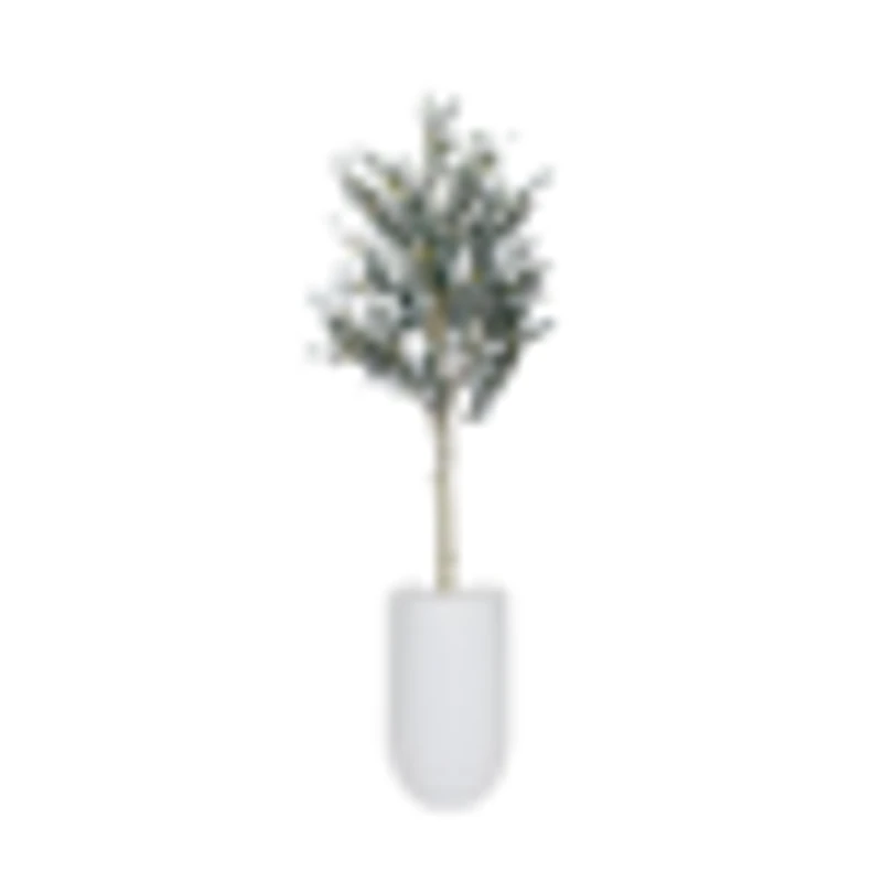 Potted Olive Tree, 6ft in Lodi Round Tall Fiberclay Planter, White, 24in (Medium)