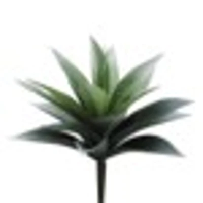 Agave Plant, 11in