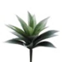 Agave Plant, 11in