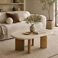Vidar Coffee Table with Micro Cement Top
