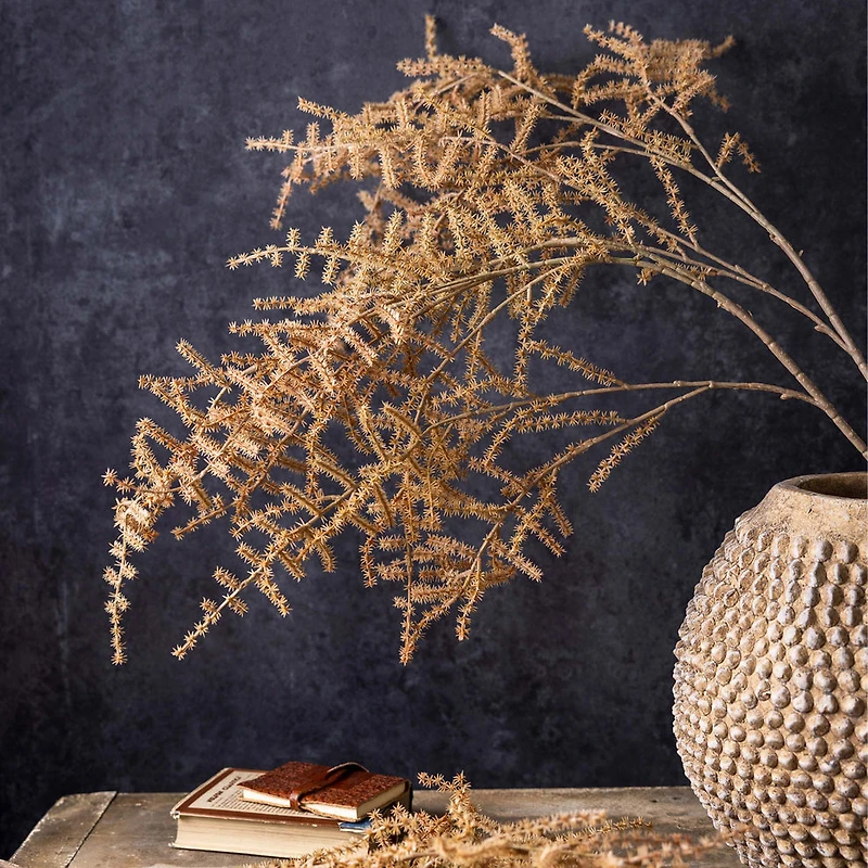 Asparagus Fern Desert - Faux Plant