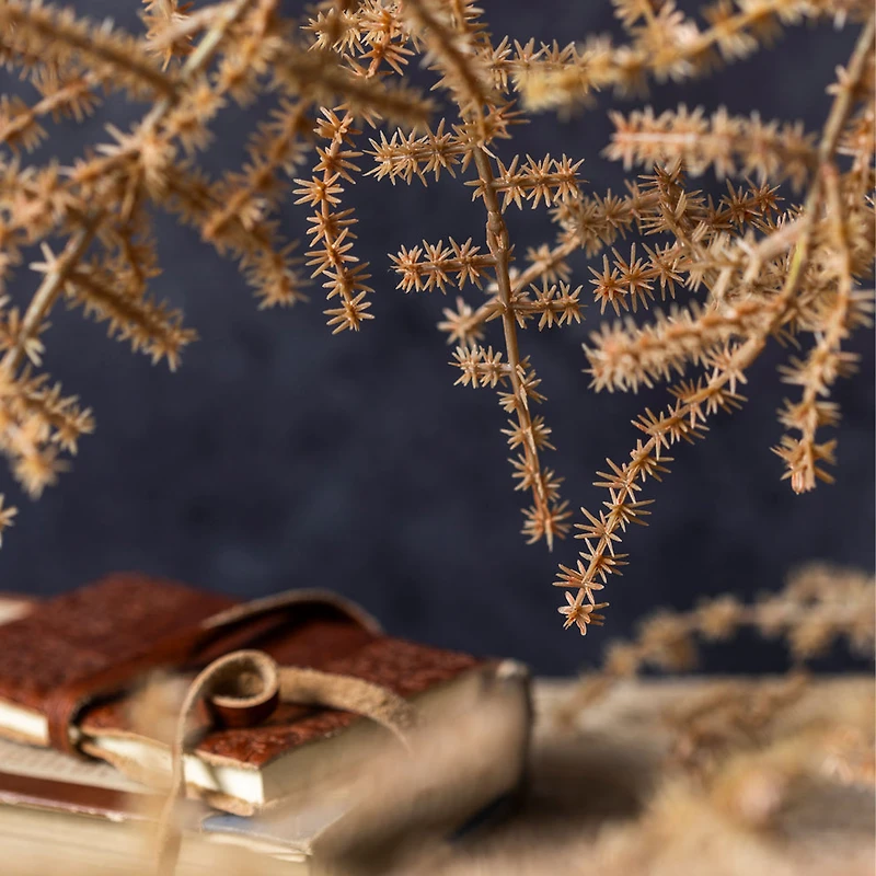 Asparagus Fern Desert - Faux Plant