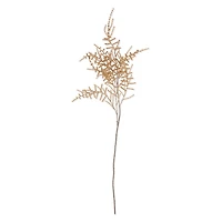 Asparagus Fern Desert - Faux Plant