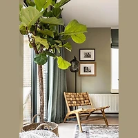 D-Bodhi Caterpillar Beetle Chair